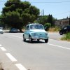 Montevago 2010 (484)